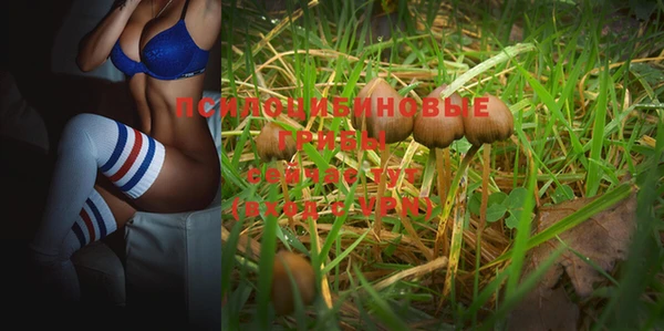 герыч Алзамай